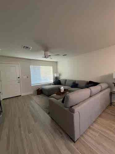 Female Roommate Wanted