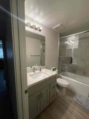 Female Roommate Wanted