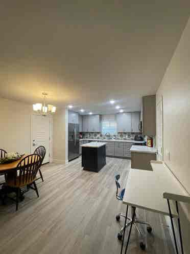Female Roommate Wanted