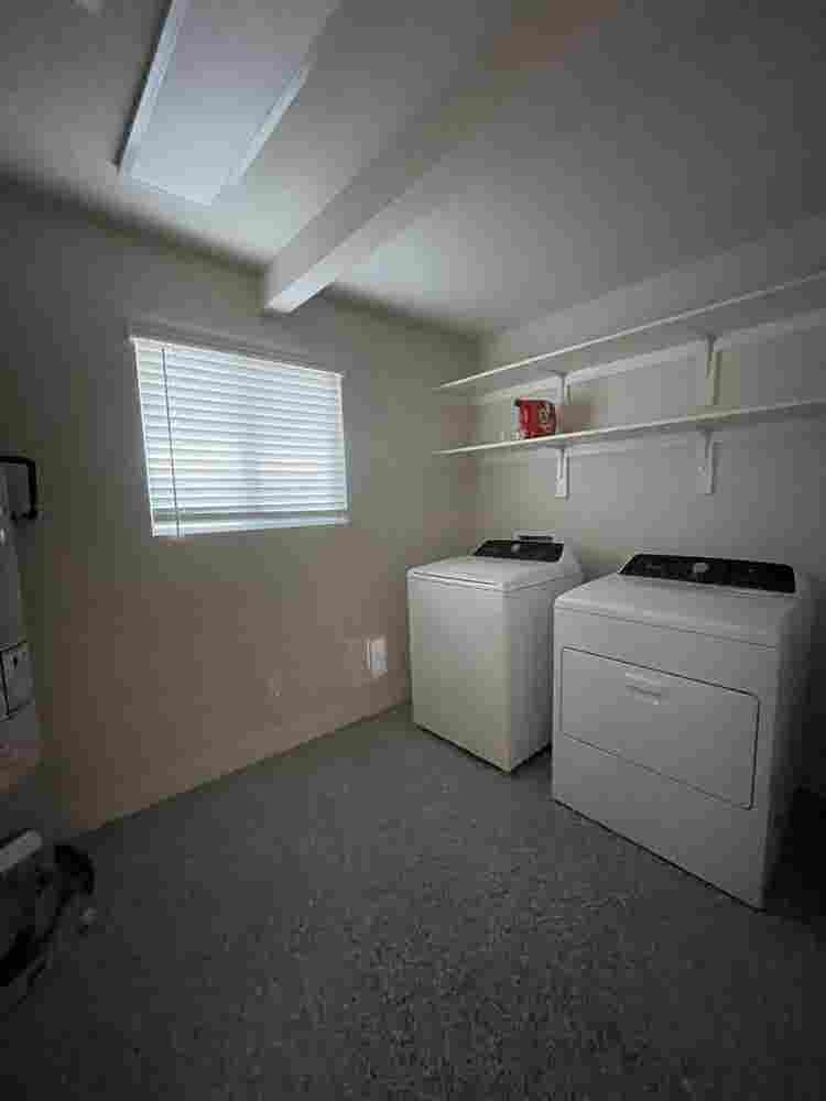 Female Roommate Wanted