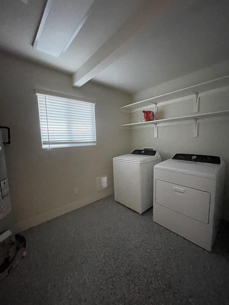 Female Roommate Wanted