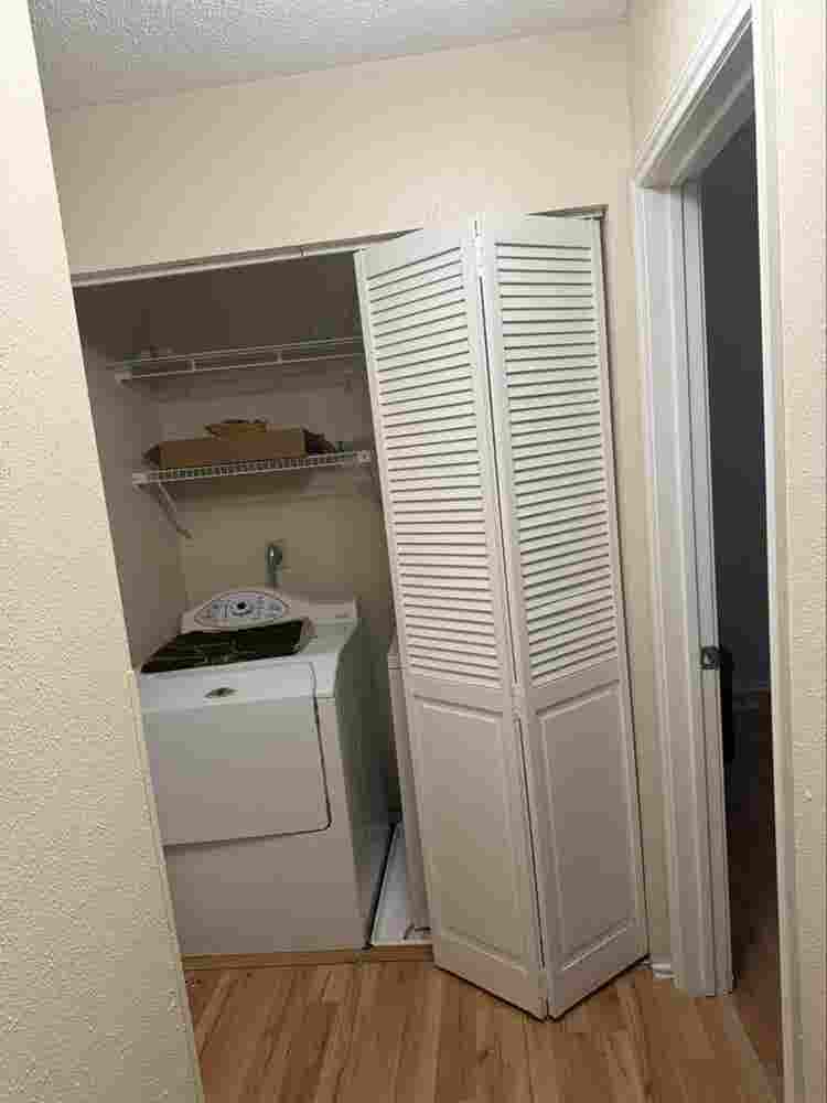 Roommate needed