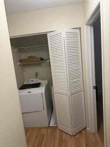 Roommate needed