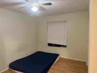 Roommate needed