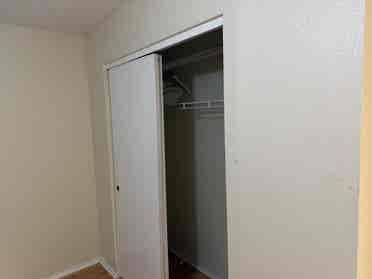 Roommate needed