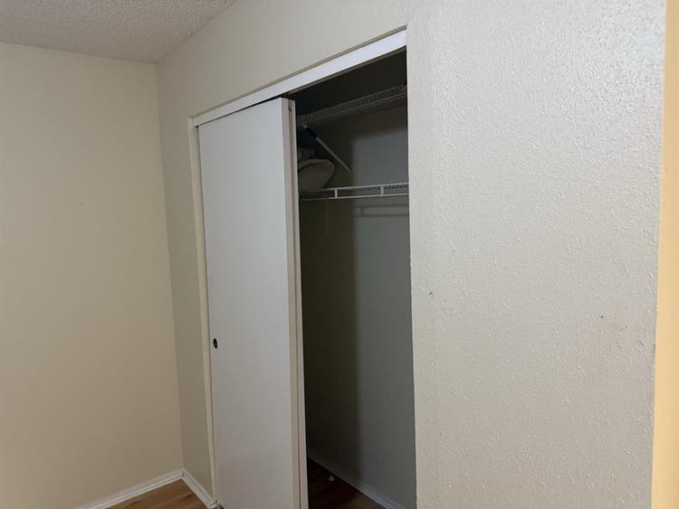 Roommate needed