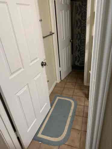 Roommate needed