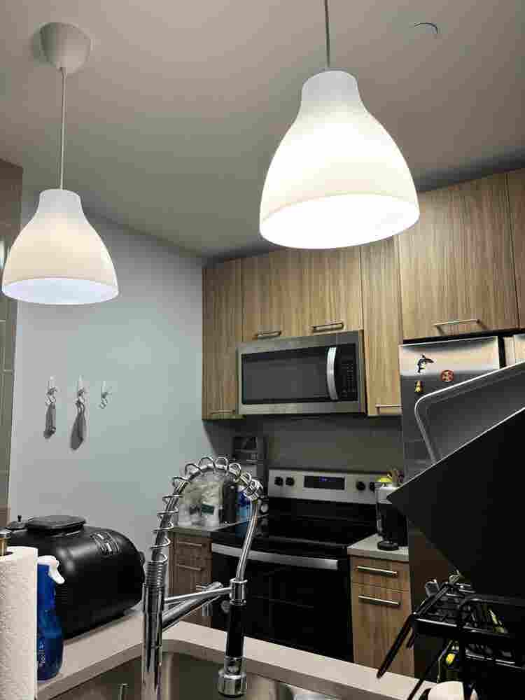 Room for Rent in Midwood Brooklyn