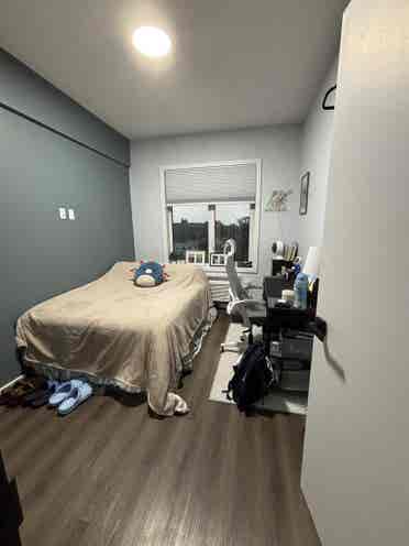 Room for Rent in Midwood Brooklyn