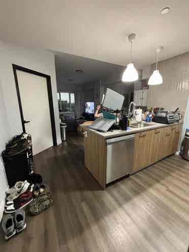 Room for Rent in Midwood Brooklyn