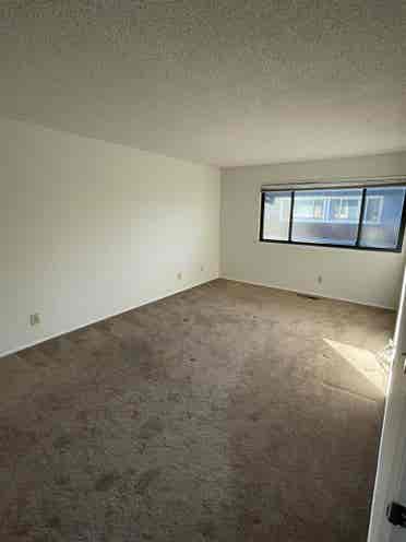 Spacious Room + Garage Parking