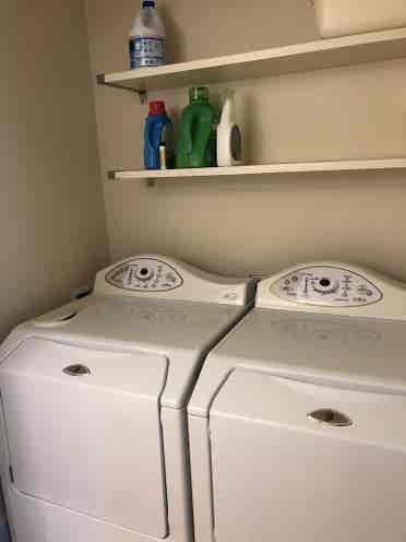 1 roommate needed