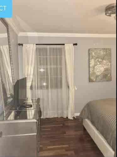 Deluxe furnished room
