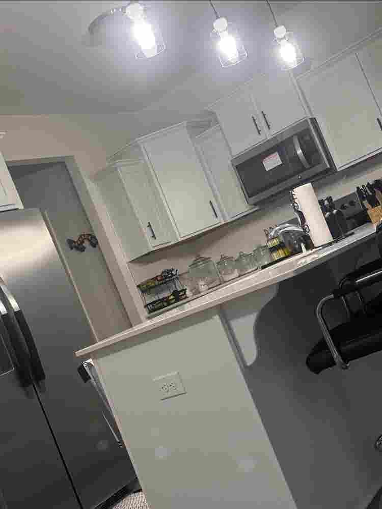 Seeking a clean roommate