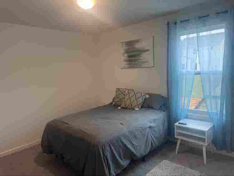Seeking a clean roommate