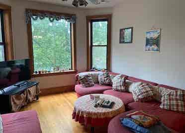 Lakeview/Wrigleyville Apartmentts