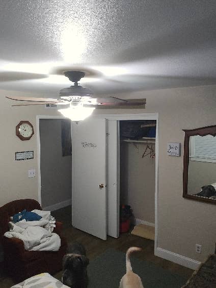 Room available for rent