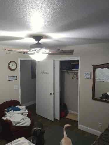 Room available for rent