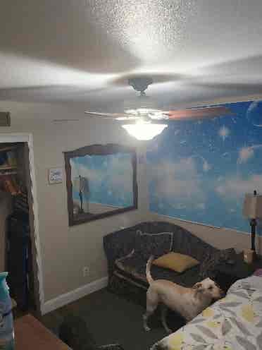 Room available for rent
