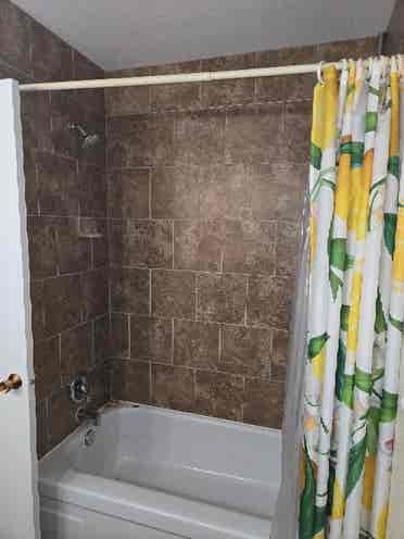 Room available for rent