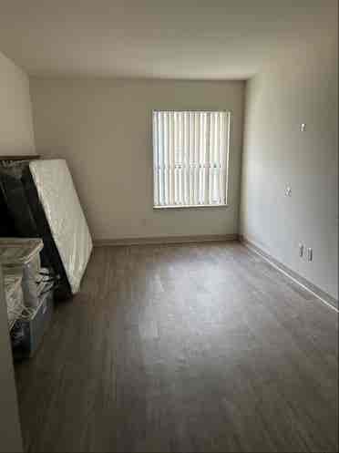 Looking for roommate at willow tree