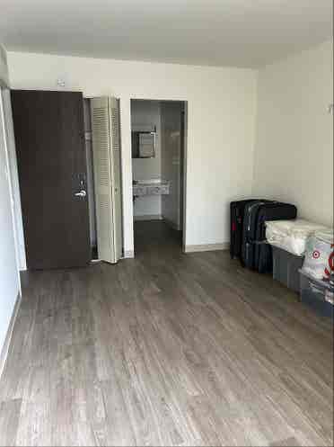 Looking for roommate at willow tree