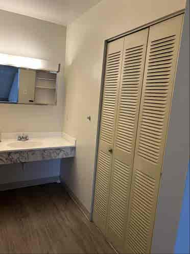 Looking for roommate at willow tree
