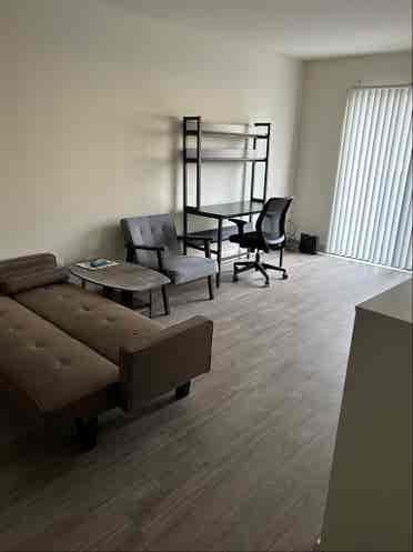 Looking for roommate at willow tree