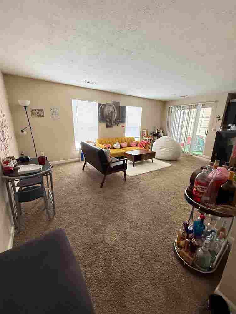 Looking for a roommate