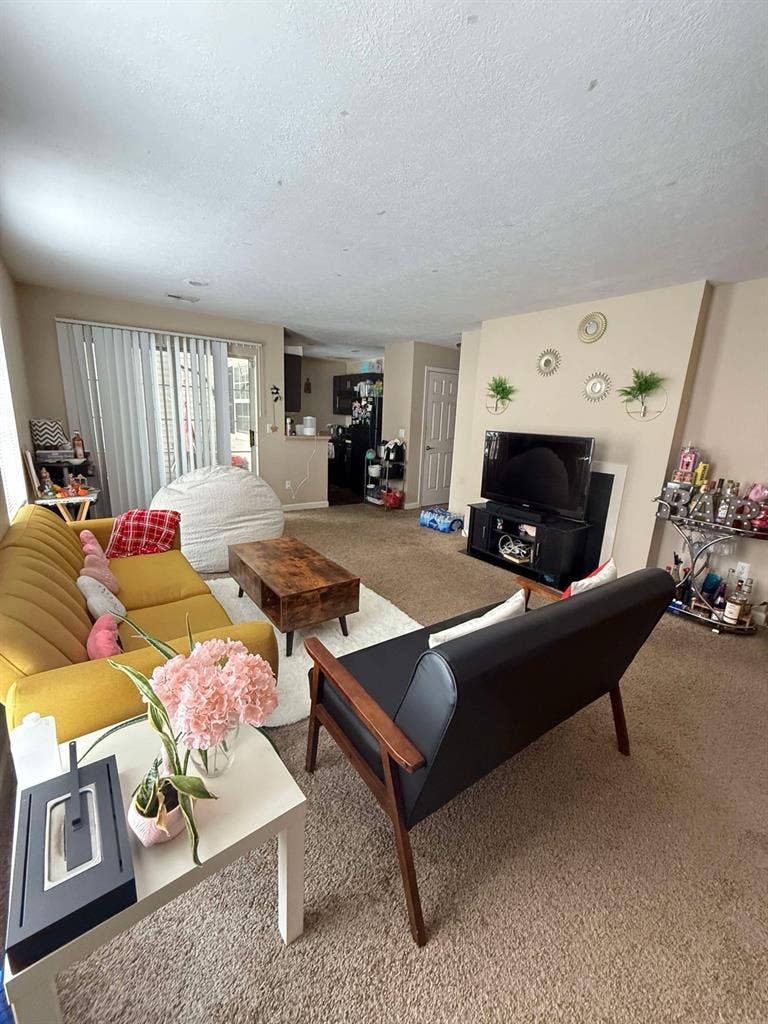 Looking for a roommate