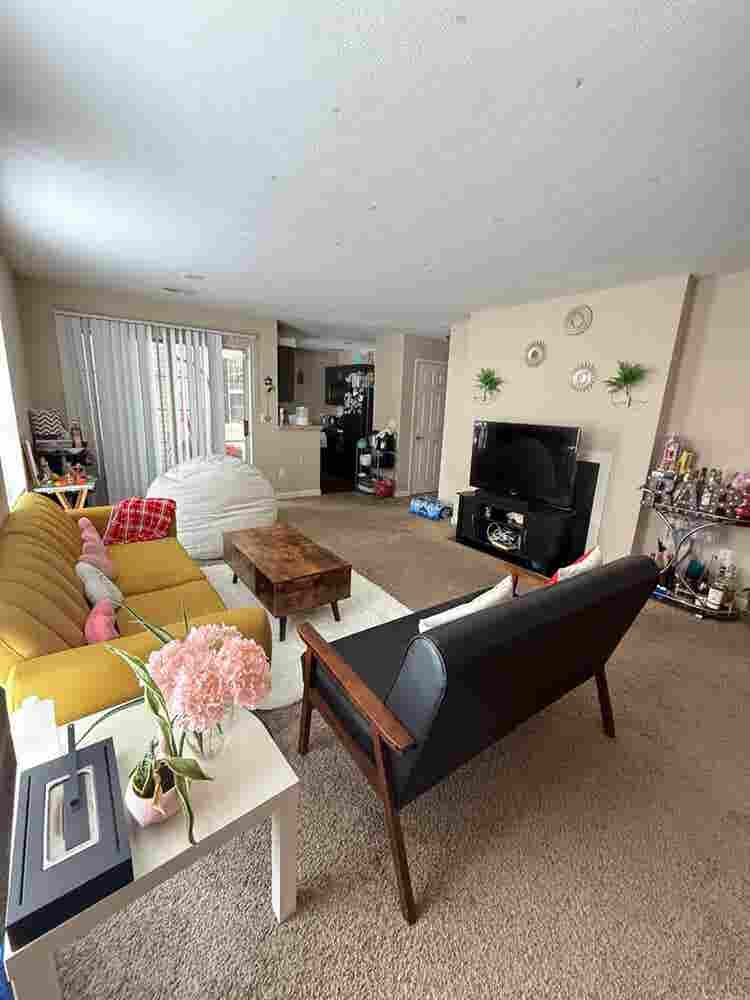 Looking for a roommate