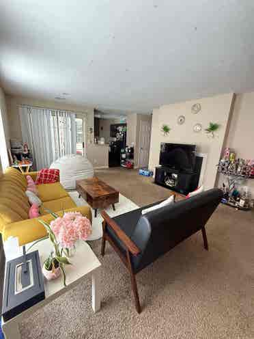 Looking for a roommate