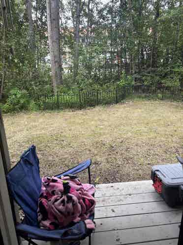 LOOKING FOR ROOMATE!