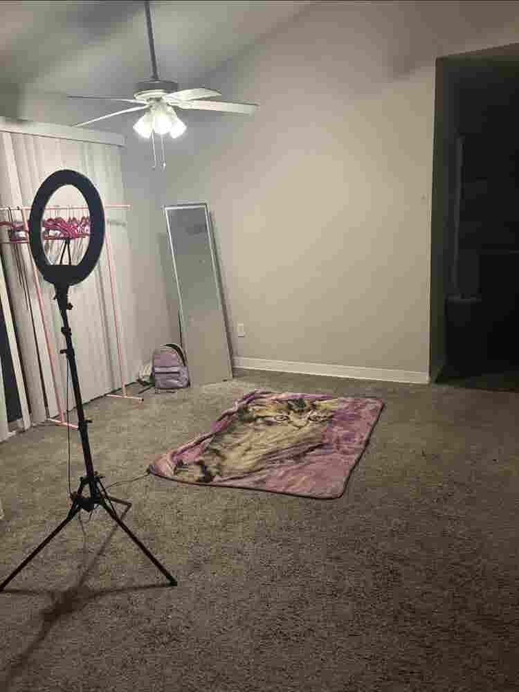 bath apartment for rent