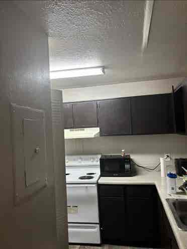 bath apartment for rent