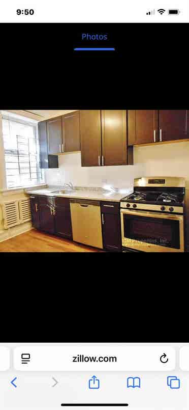 North center/ravenswood roommate