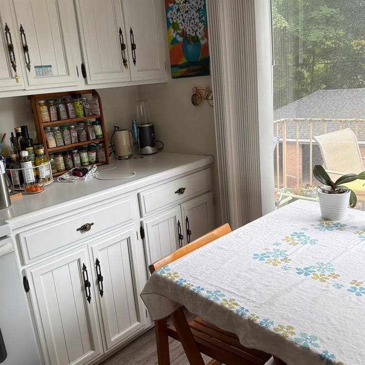 Room for Female in West Akron