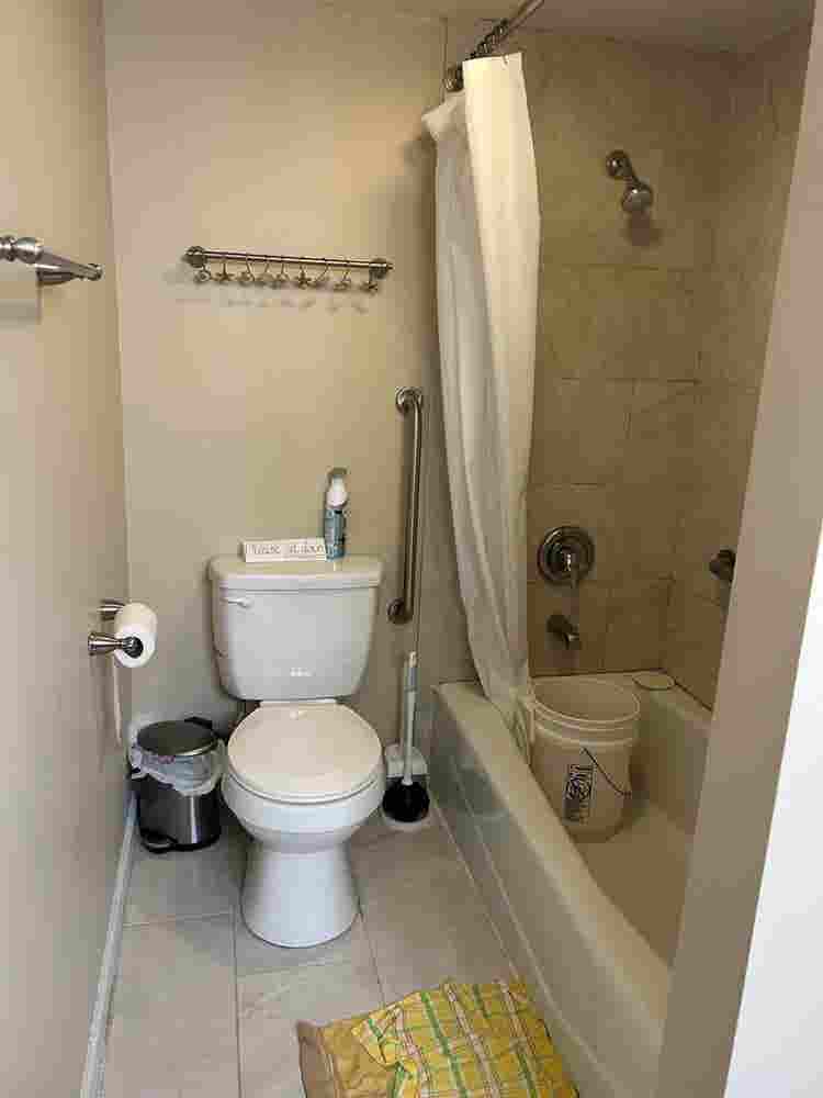 Female roommate-