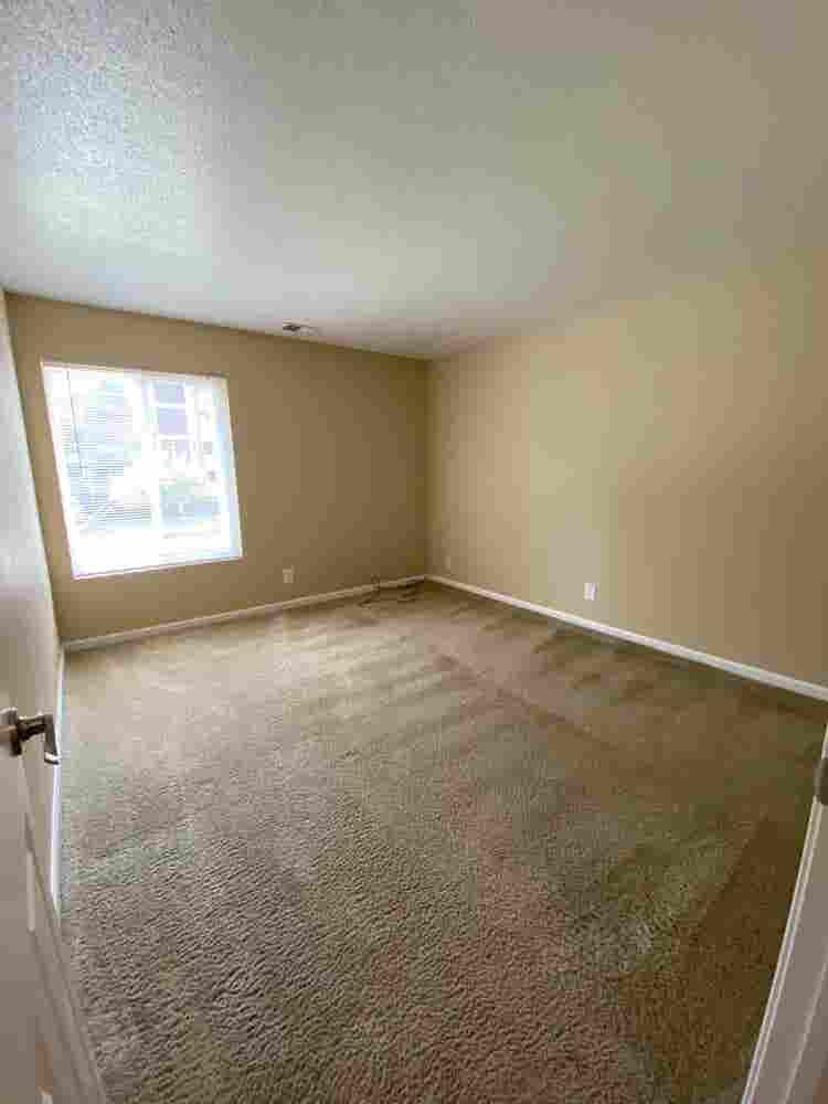Female roommate-