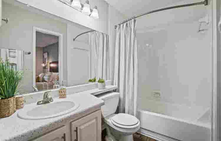 APARTMENT NEED RENTER ASAP