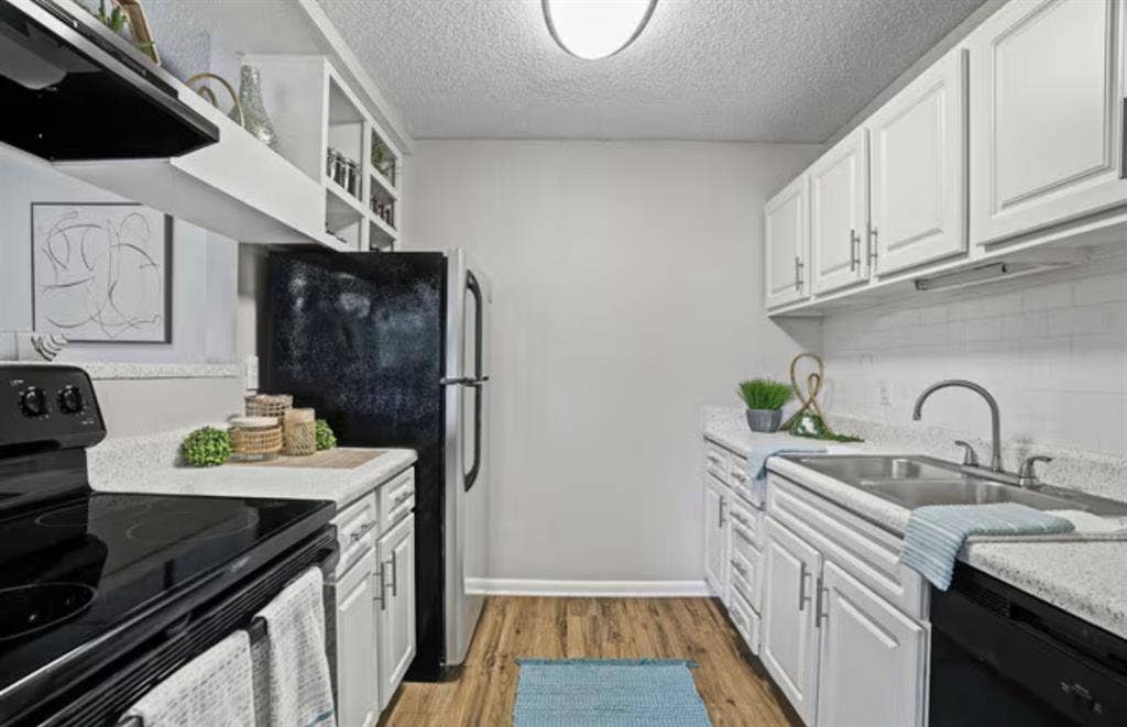 APARTMENT NEED RENTER ASAP