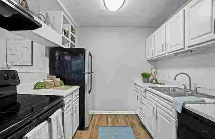 APARTMENT NEED RENTER ASAP
