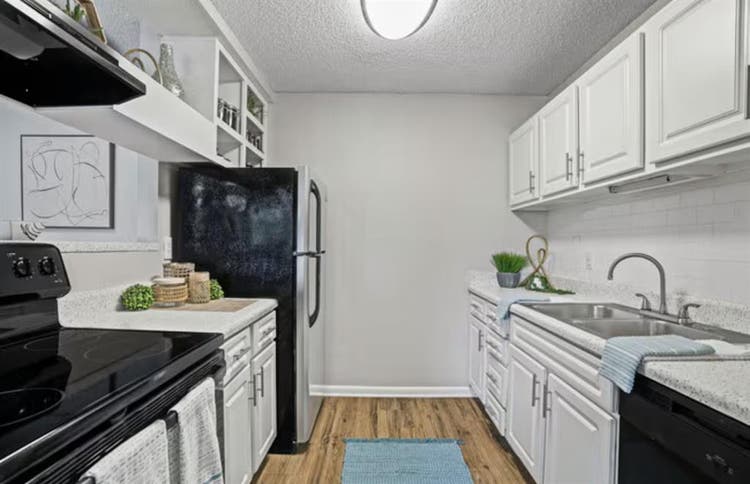 APARTMENT NEED RENTER ASAP