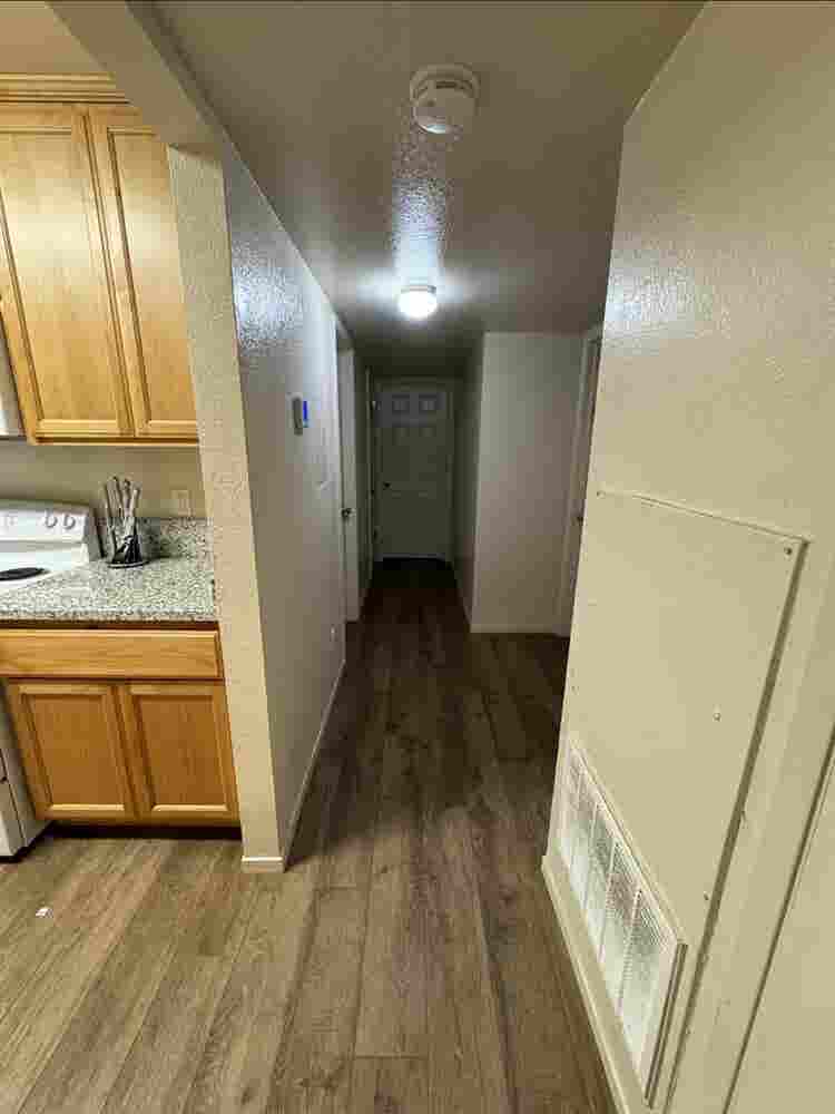 Need a third roommate!!