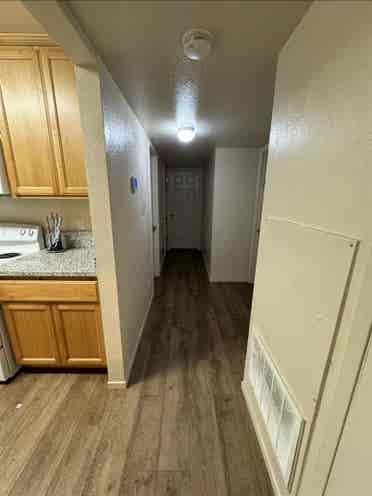 Need a third roommate!!
