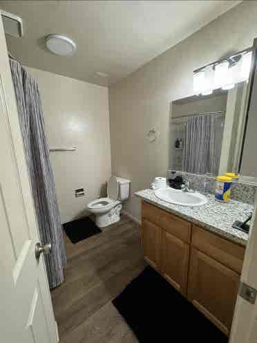 Need a third roommate!!
