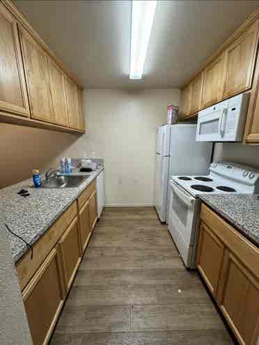 Need a third roommate!!