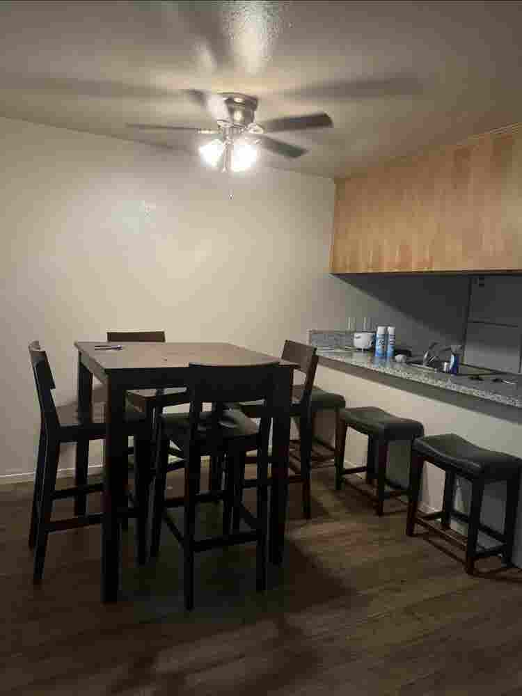 Need a third roommate!!