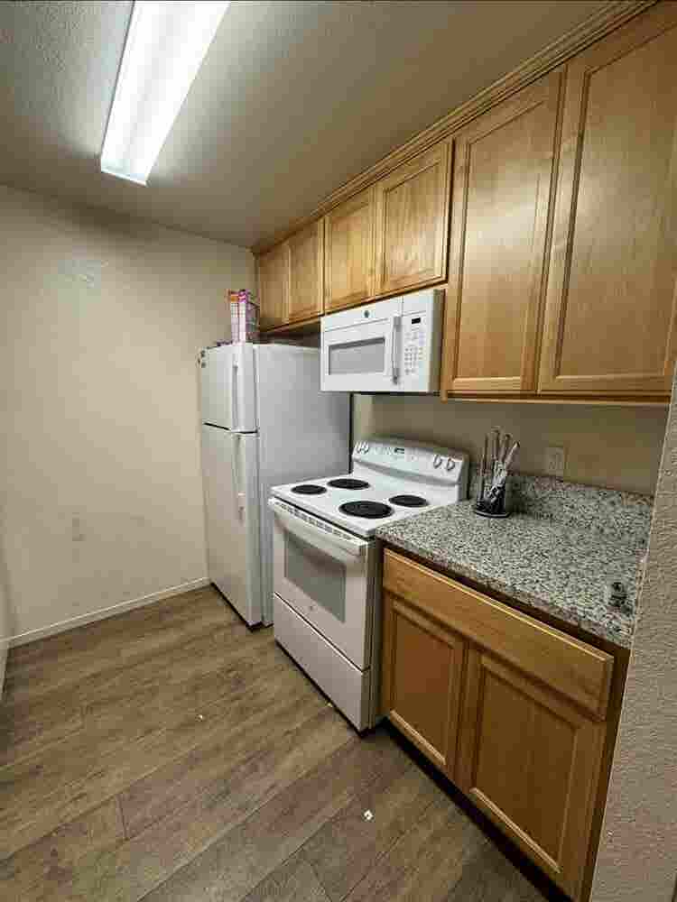 Need a third roommate!!