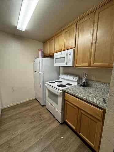 Need a third roommate!!
